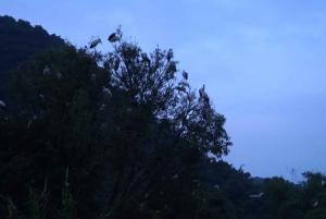 Ninh Binh 2 jours et 1 nuit pour un petit groupe de 9 personnes au départ de Hanoi