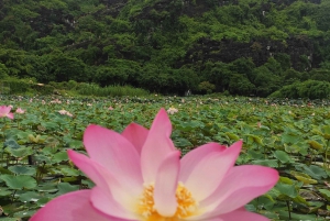 Ninh Binh 2 dagar 1 natt Liten grupp med 9 turer från Hanoi