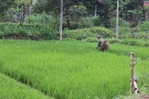 Ninh Binh: 3 päivän retki Pu Luongiin ja Mai Chauhin, vaellusta ja pyöräilyä