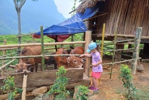 Ninh Binh: 3 päivän retki Pu Luongiin ja Mai Chauhin, vaellusta ja pyöräilyä