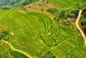 Ninh Binh: 3 päivän retki Pu Luongiin ja Mai Chauhin, vaellusta ja pyöräilyä