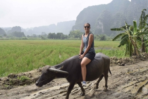 Ninh Binh: Buffalo riding, rice planting group tour