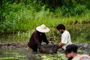 Ninh Binh: Buffalo riding, rice planting group tour