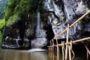 Ninh Binh: Buffalo riding, rice planting group tour