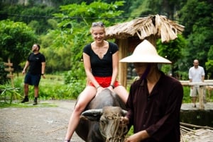 Ninh Binh: passeio de búfalo, passeio em grupo de plantio de arroz