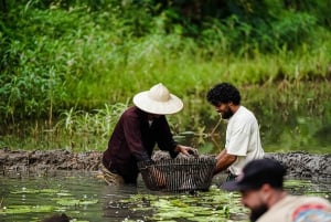 Ninh Binh: passeio de búfalo, passeio em grupo de plantio de arroz
