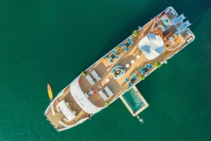 Ninh Binh: Cat Ba Island Transfer med buss med flere tider