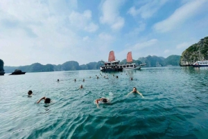 Ninh Binh: Cat Ba Island Transfer med buss med flere tider