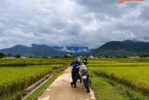 Ninh Binh: Landpartie mit dem Motorrad - Buffalow Riding