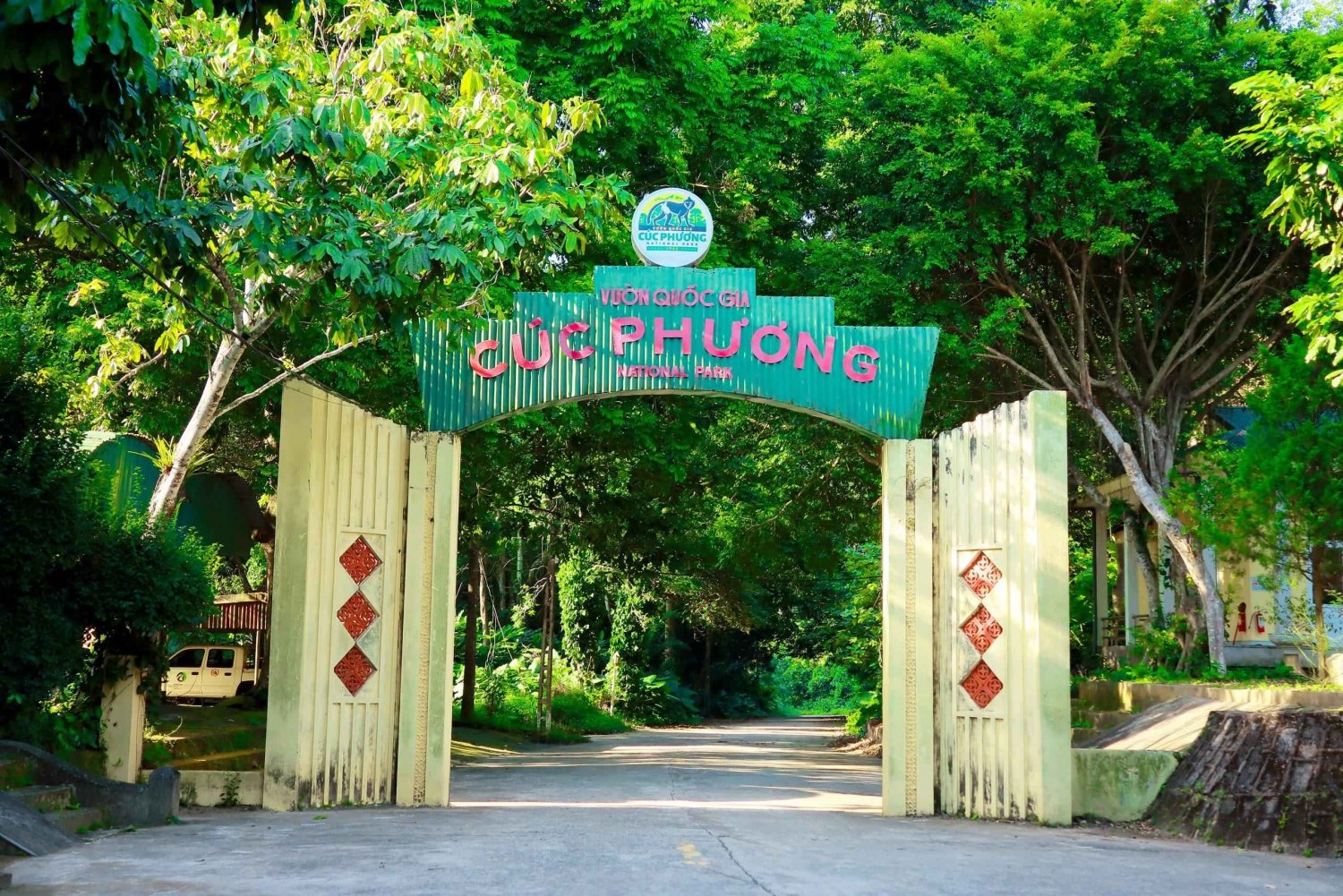 Ninh Binh: Cuc Phuong Jungle Hike & Wildlife Day Trip