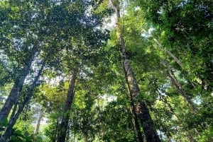 Ninh Binh: Cuc Phuong Jungle Hike & Wildlife dagtrip