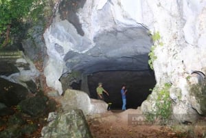 Ninh Binh: Cuc Phuong Jungle Hike & Wildlife dagtrip