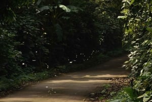 Ninh Binh: Cuc Phuong Jungle Hike & Wildlife dagtrip