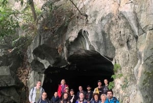 Ninh Binh: Cuc Phuong Jungle Hike & Wildlife dagtrip