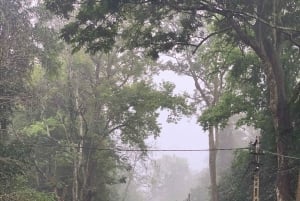 Ninh Binh: Cuc Phuong Jungle Hike & Wildlife dagtrip