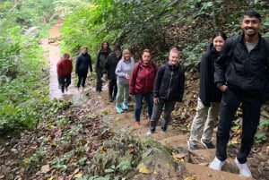 Ninh Binh: Cuc Phuong Jungle Hike & Wildlife dagtrip