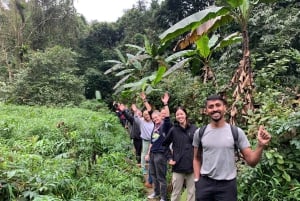 Ninh Binh: Cuc Phuong Jungle Hike & Wildlife dagtrip