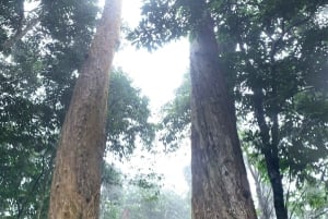 Ninh Binh: Cuc Phuong Jungle Hike & Wildlife dagtrip