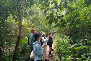 Ninh Binh: Cuc Phuong Jungle Hike & Wildlife dagtrip