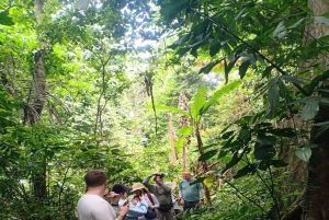 Ninh Binh: Cuc Phuong Jungle Hike & Wildlife dagtrip