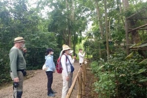Ninh Binh: Cuc Phuong Jungle Hike & Wildlife dagtrip