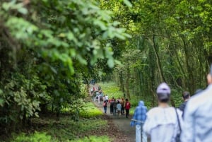 Ninh Binh: Cuc Phuong Jungle Hike & Wildlife dagtrip