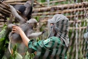 Ninh Binh: Cuc Phuong Jungle Hike & Wildlife dagtrip