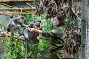 Ninh Binh: Excursión de un día a la selva de Cuc Phuong y observación de la fauna