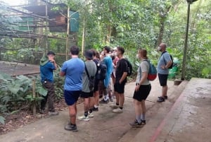 Ninh Binh: Excursión de un día a la selva de Cuc Phuong y observación de la fauna