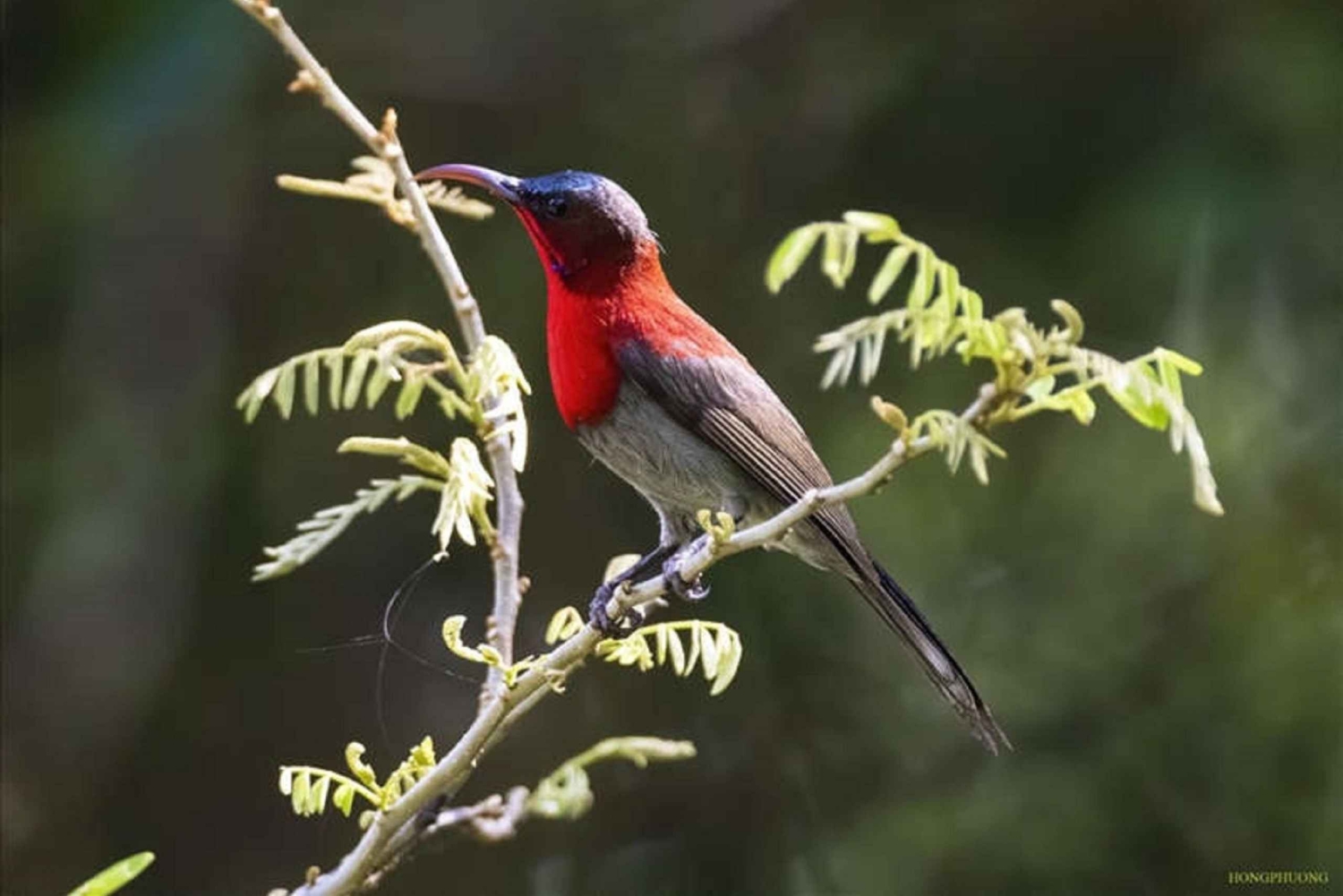 Ninh Binh Parque Nacional de Cuc Phuong 1 Día Grupo reducido