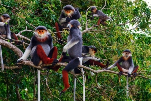 Ninh Binh: Park Narodowy Cuc Phuong 1 dzień - mała grupa