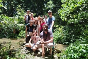 Ninh Binh: Cuc Phuong National Park 1 Day Small Group