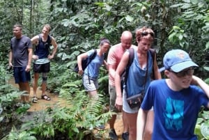 Ninh Binh: Cuc Phuong National Park 1 Day Small Group