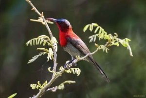 Ninh Binh Parque Nacional de Cuc Phuong 1 Día Grupo reducido