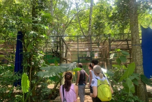 Ninh Binh Parque Nacional de Cuc Phuong 1 Día Grupo reducido