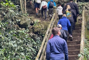 Ninh Binh Parque Nacional de Cuc Phuong 1 Día Grupo reducido
