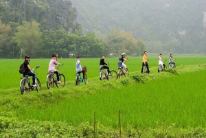 Halvdags guidet tur i Ninh Binh: Båttur i Trang An, Mua-hulen