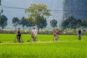 Halvdags guidet tur i Ninh Binh: Båttur i Trang An, Mua-hulen