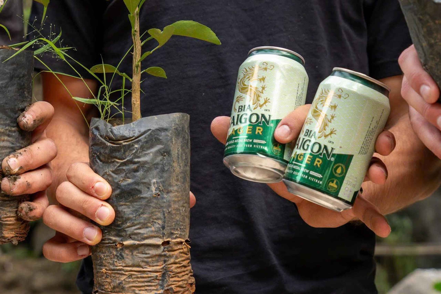 Ninh Binh: planta árboles y disfruta de la naturaleza en el valle de Dundj