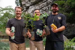 Ninh Binh: planta árboles y disfruta de la naturaleza en el valle de Dundj