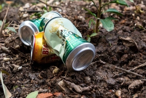 Ninh Binh: planta árboles y disfruta de la naturaleza en el valle de Dundj