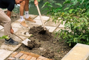 Ninh Binh: planta árboles y disfruta de la naturaleza en el valle de Dundj