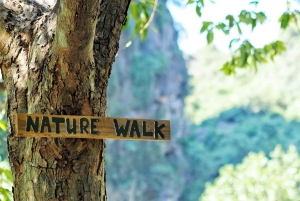 Ninh Binh: planta árboles y disfruta de la naturaleza en el valle de Dundj