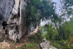 Ninh Binh: planta árboles y disfruta de la naturaleza en el valle de Dundj