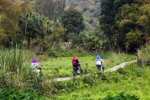 Ninh Binhin sähköpyöräretki – Tam Coc Pedal & Paddle
