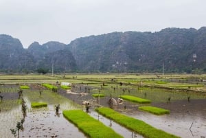 Excursión en E-Bike por Ninh Binh - Paisajes Secretos de Tam Coc