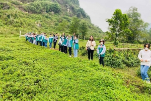 Ninh Binh: Experience Herbal Bath & Making Herbal Soap