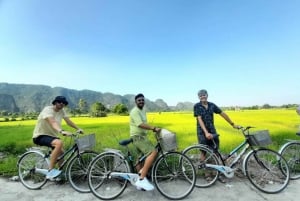Hanói: Excursão guiada de dia inteiro a Hoa Lu, Trang An e Caverna Mua