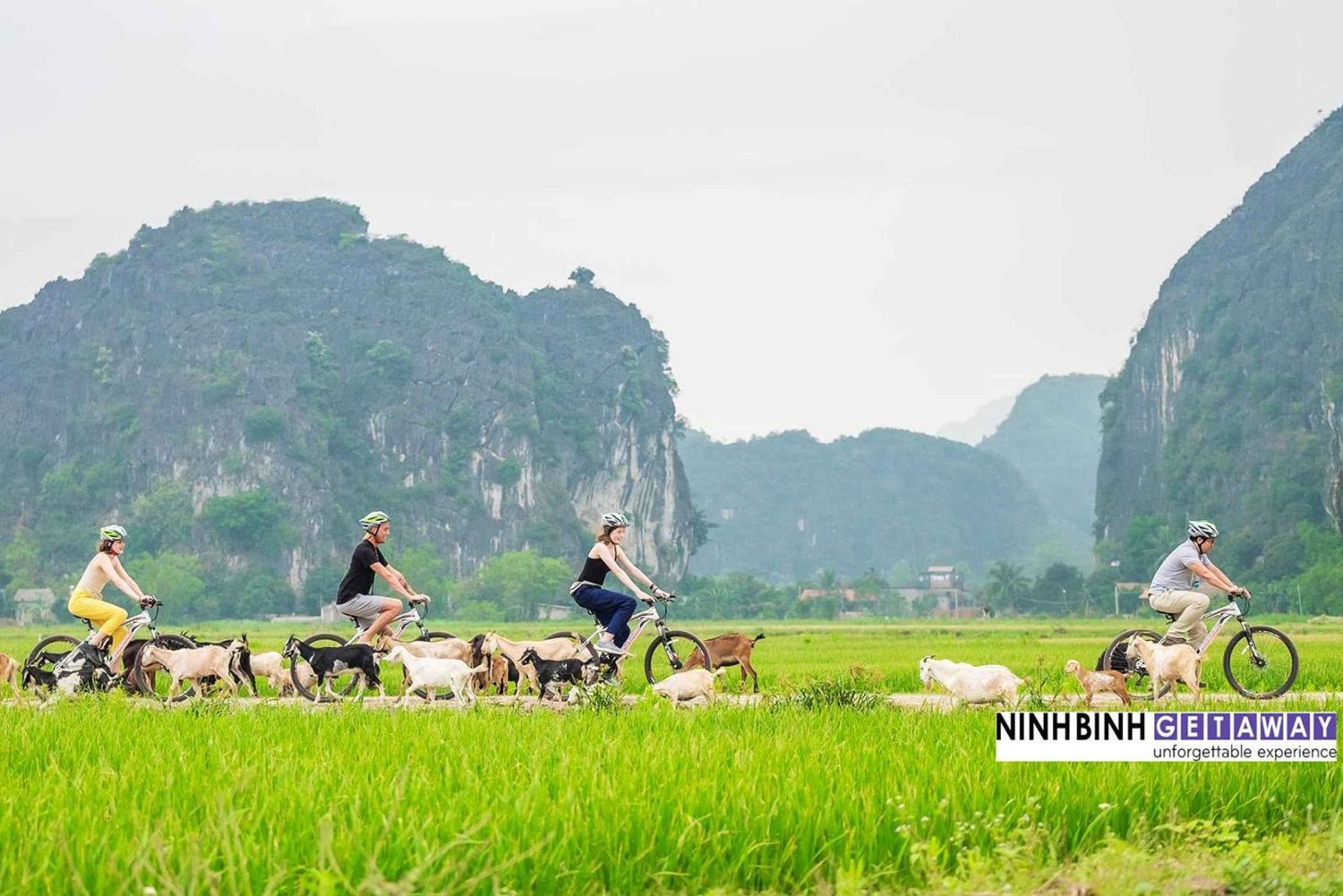 Ninh Binh Full-Day Small Group Tour from Hanoi