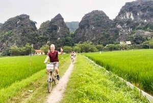 Depuis Hanoï : visite en petit groupe d'une journée à Ninh Binh